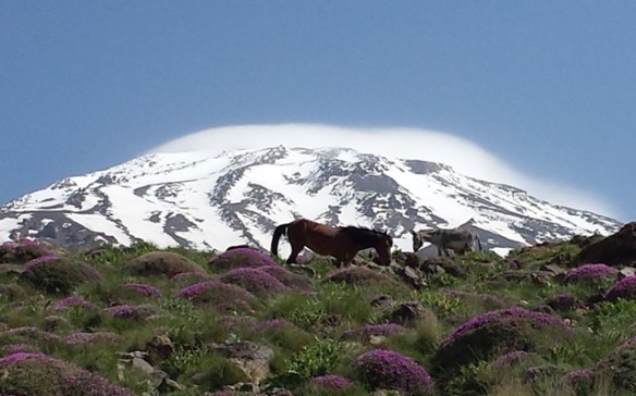 Mount Damavand in spring.